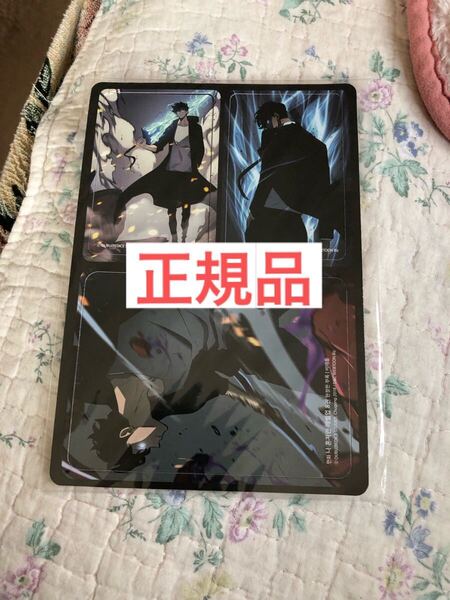 未開封 マグネット 俺だけレベルアップな件 ソロレベリング Solo Leveling