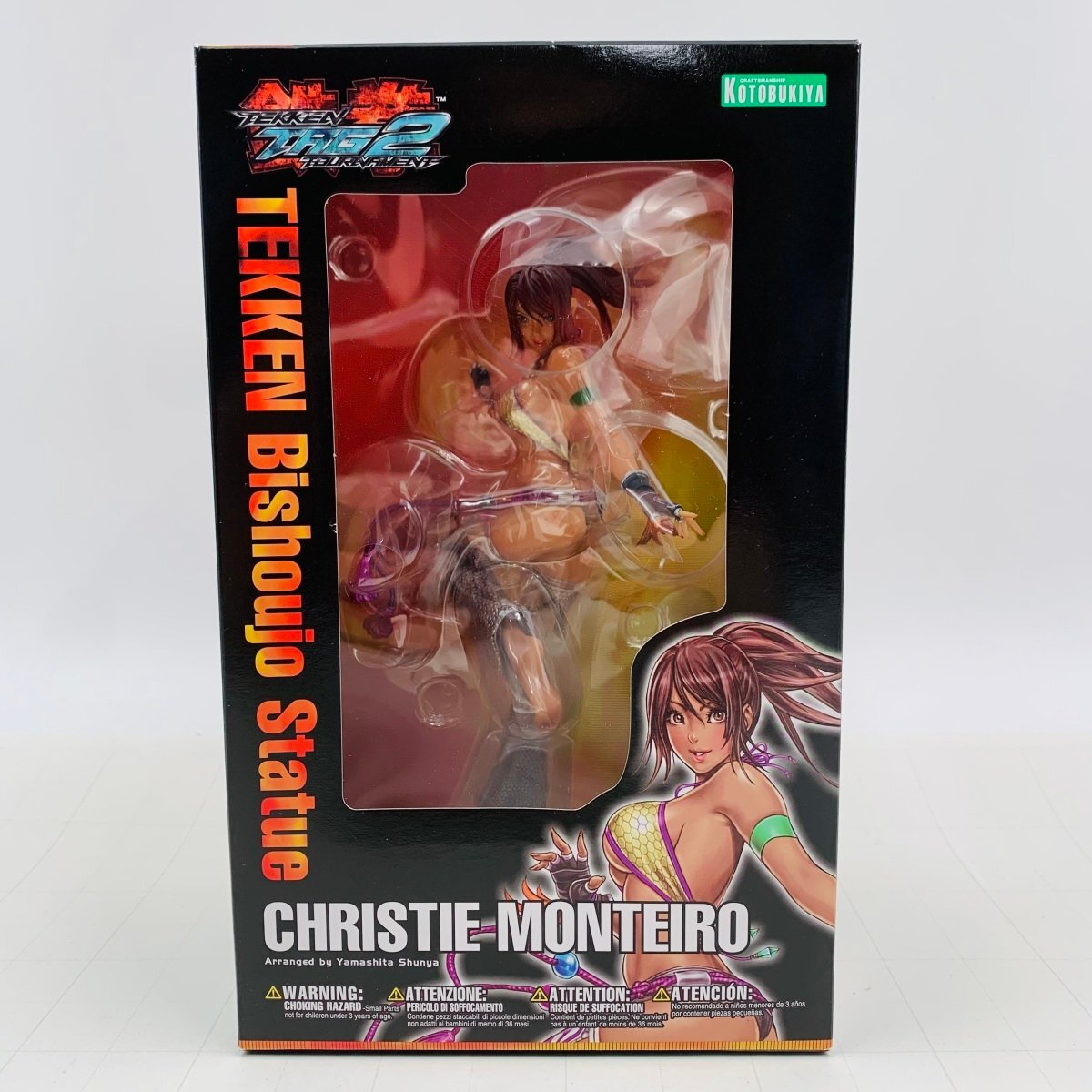 TEKKEN美少女 クリスティ・モンテイロ リニューアルパッケージ