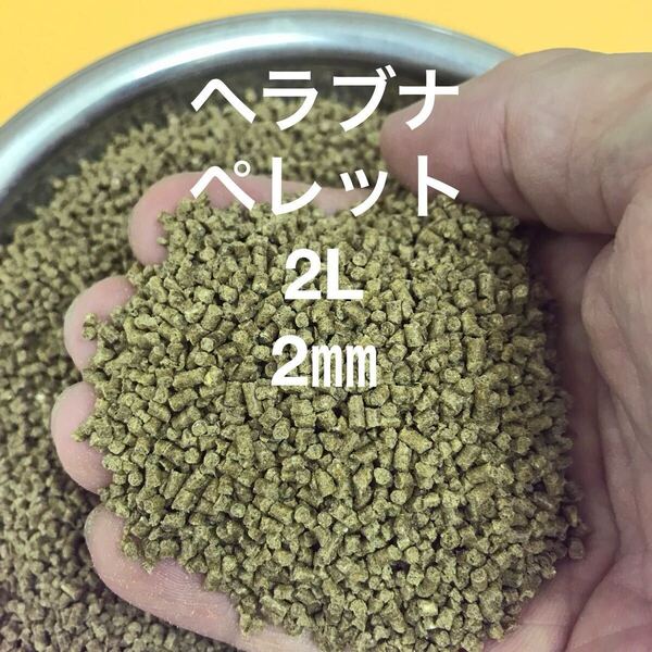 ヘラブナ釣りの餌 ヘラペレットLLサイズ 500g入り サナギミール大量配合 集魚効果抜群 ヘラブナ エサ