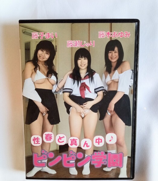 『 ビンビン学園 』中古DVD 藤子まい 藤瀬じゅり 藤木あゆみ グラビアアイドル ふじこまい ふじせじゅり ふじきあゆみ