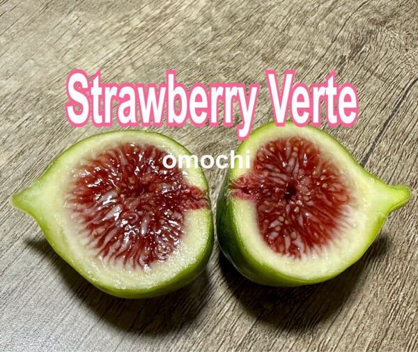 9いちじくストロベリーベルテ Strawberry Verte 苗木 挿木 穂木 イチジク