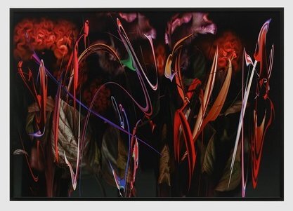 Yahoo!オークション -「村上隆」(版画) (美術品)の落札相場