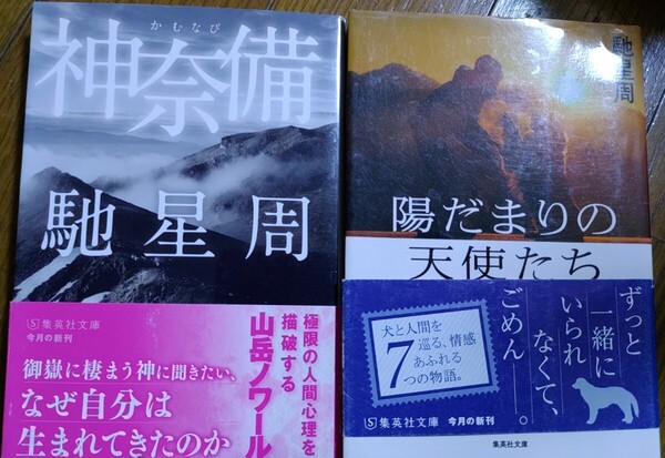 馳星周 神奈備 陽だまりの天使たち ソウルメイトⅡ 文庫本