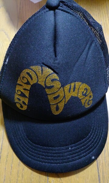 Evisu キャップ アンディ