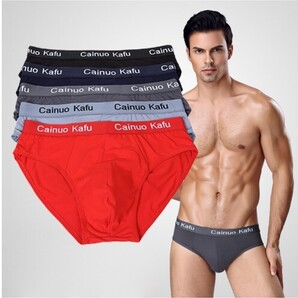 コロナに負けるな★ノーマルカラー★男性用ビキニ/ アンダーショーツ 5枚セット 2XL(3L)サイズ★