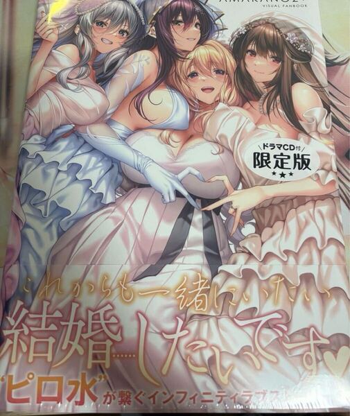 アマカノ2+ ビジュアルファンブック ドラマCD付 ピロ水