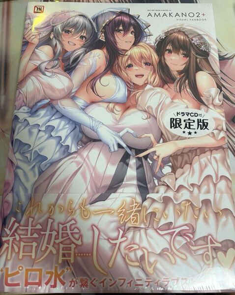 アマカノ2+ ビジュアルファンブック ドラマCD付 ピロ水