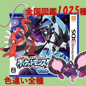 中古ソフト ポケットモンスター ウルトラムーン 全国図鑑完成 スカーレット バイオレット 色違い 藍の円盤 碧の仮面