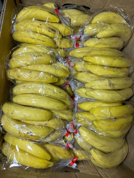 家庭用B品バナナ13キロ前後