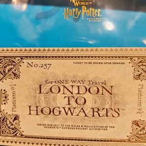 USJ ハリーポッター 9と3/4 ホグワーツ特急 往復 チケット