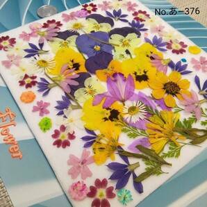押し花素材 ★ 盛り合わせ セット商品 春爛漫 (^o^)/