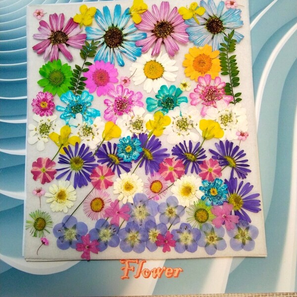 押し花素材 ★ とっても可愛い、盛り合わせ商品 ④ (^o^)/