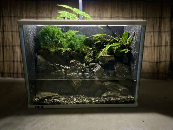 水の流れる滝テラリウム水槽 苔テラリウム水槽