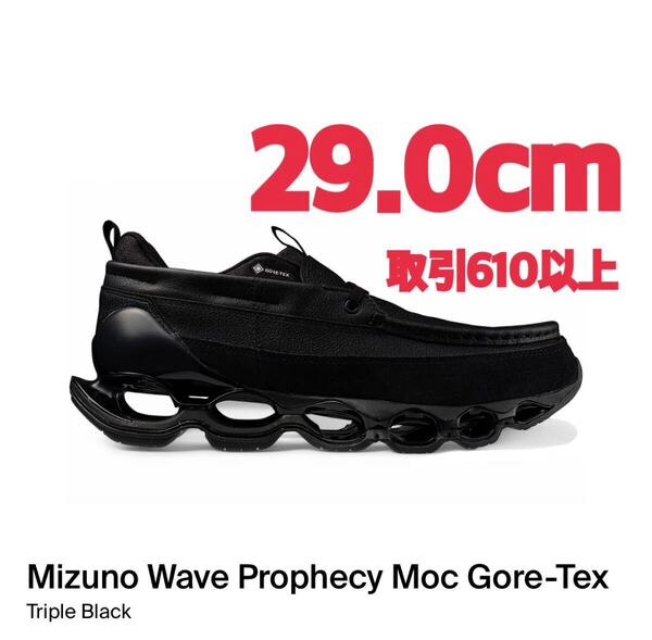 Mizuno Wave Prophecy Moc GORE-TEX Black 29.0cm ミズノ ウェーブ プロフェシー モック ゴアテックス ブラック 29cm US11