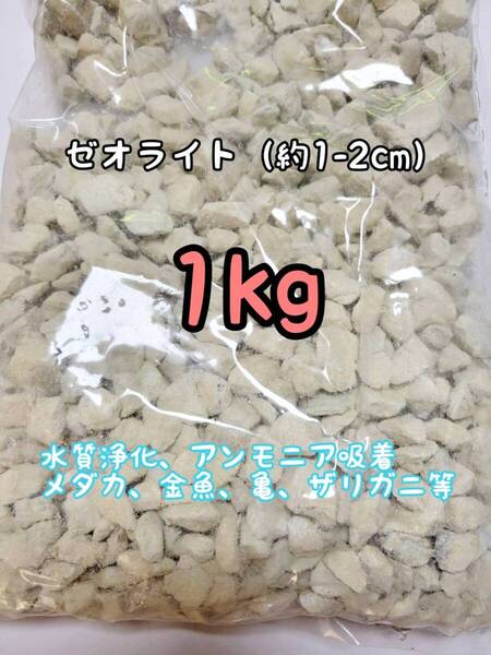水質浄化 約1-2cm ゼオライト1kg アクアリウム メダカ 金魚 亀 ザリガニ アンモニア吸着 錦鯉 ベタ グッピー