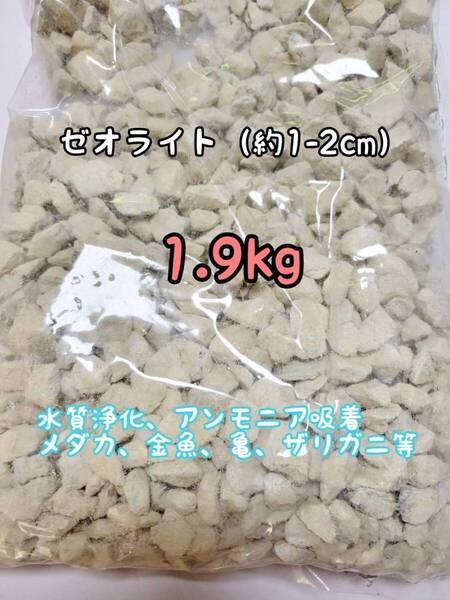 水質浄化 約1-2cm ゼオライト1.9kg アクアリウム メダカ 金魚 亀 ザリガニ アンモニア吸着 錦鯉 ベタ グッピー