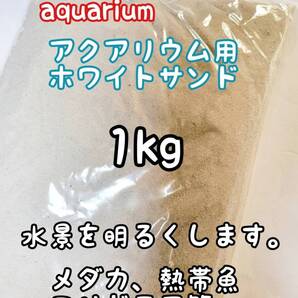 アクアリウム用 ホワイトサンド1kg 高温除菌 底床 コリドラス めだか 熱帯魚 どじょう ベタ グッピー アクアリウム