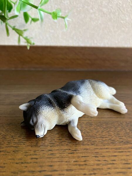 かわいい犬のフィギュア♪ 柴犬 黒柴 横向き マグネット付き 送料無料