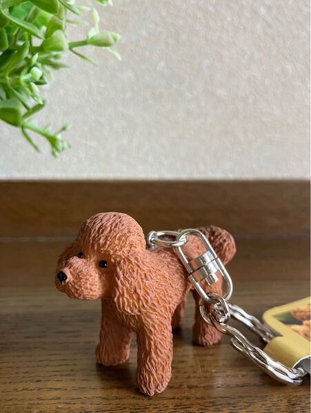 かわいい犬のフィギュアキーホルダー♪ トイプードル トイプー レッド キーリング
