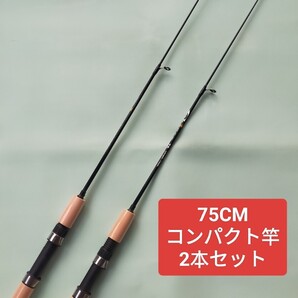 75cm 短竿 穴釣り エビ釣り コンパクトロッド 置き竿 投げ竿 ハゼ 2本