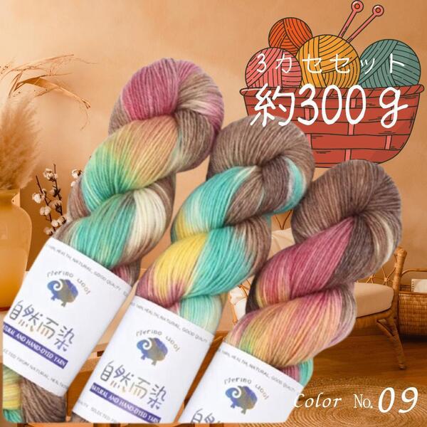 ソックヤーン 毛糸 3カセ 約300g 手染め 糸 編み物 手芸 工芸 カシミア 09