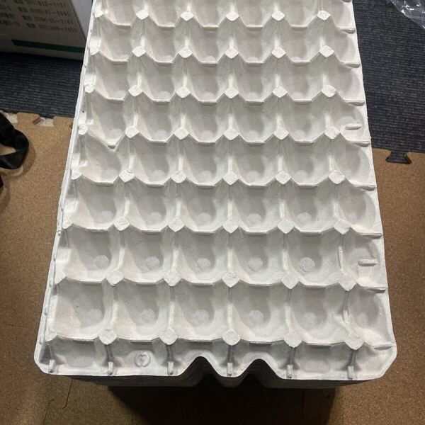 送料込 実績多数 発送迅速 玉子ケース 卵ケース 玉子トレー 卵トレー コオロギ デュビア 昆虫 飼育 30枚入り