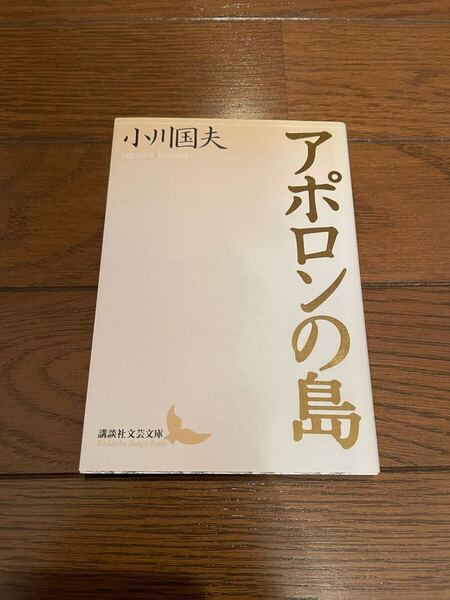 アポロンの島 小川邦夫 講談社文芸文庫 文庫本