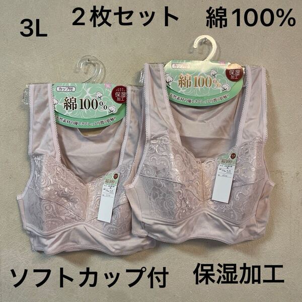 2枚組 婦人 肌着 レディース インナー ソフトカップ付ブラ レース付 3L 綿100% フライス編み 保湿加工 パープル 女性用