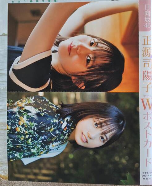 日向坂46 正源司陽子 Wポストカード 週刊少年サンデー 2024年44号 特別付録 ※送料無料※