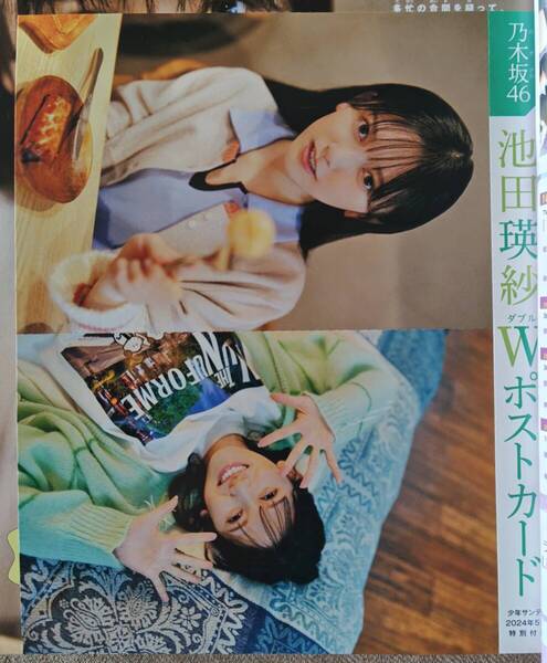乃木坂46 池田瑛紗 Wポストカード 週刊少年サンデー 2024年51号 特別付録 ※送料無料※