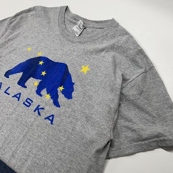 GILDAN アラスカ アニマル柄 くま 半袖Tシャツ グレー メンズM