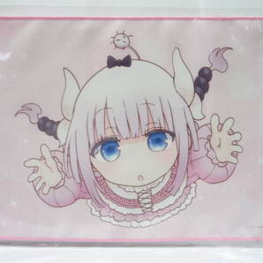 新品未開封 小林さんちのメイドラゴン 9巻 とらのあな限定版特典 B5マイクロファイバータオル カンナ 双葉社 クール教信者