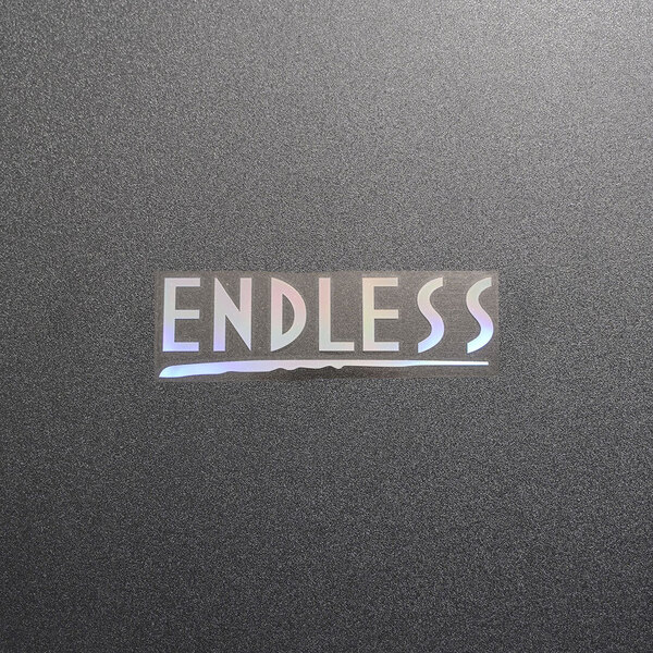 【文字だけ残るタイプ】ENDLESS エンドレス カッティングステッカー オーロラ 1枚 縦33mm×横110mm |新品|未使用|切文字|切り文字