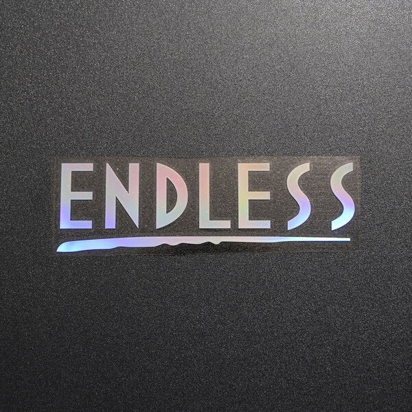 【文字だけ残るタイプ】ENDLESS エンドレス カッティングステッカー オーロラ 1枚 縦45mm×横150mm |新品|未使用|切文字|切り文字