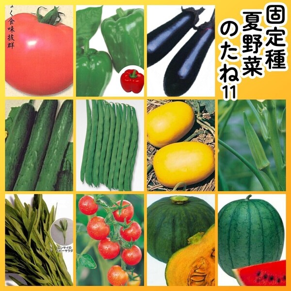匿名配送無料◆固定種夏野菜の種11◆大玉トマト+ピーマン+ナス+キュウリ+つるありインゲン+マクワウリ+オクラ+空芯菜+ミニトマト+南瓜+西瓜