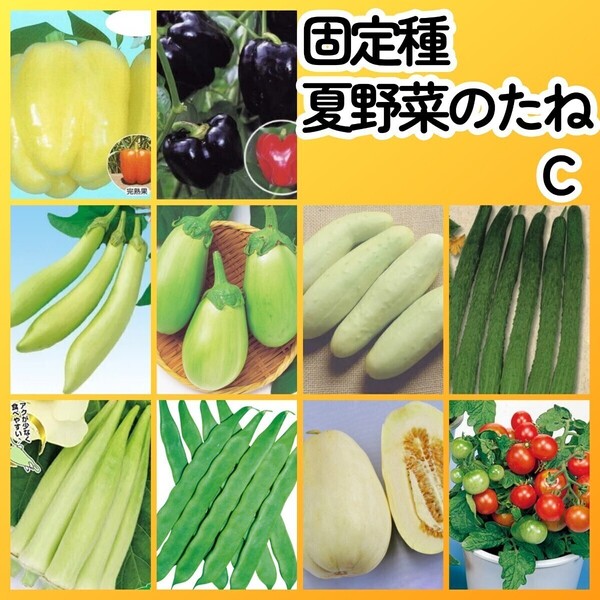 匿名配送無料◆固定種夏野菜の種C◆カラーピーマン白ナス白キュウリ四葉胡瓜白オクラ平莢インゲンマンズナルマクワウリミニトマトレジナ