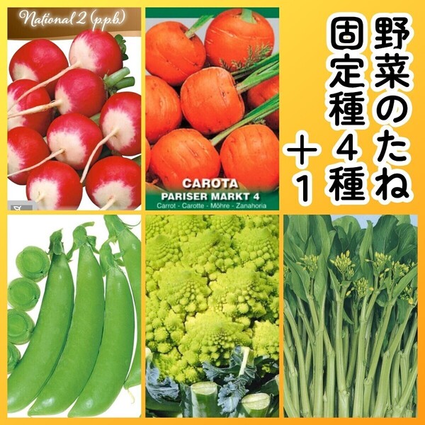 匿名配送無料◆固定種野菜種4+1◆ラディッシュ+丸キャロット玉人参+つるなしスナップエンドウ+カリフラワーロマネスコ+オータムポエム
