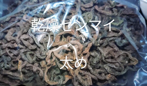 岩手県産 乾燥ゼンマイ 太め 100g