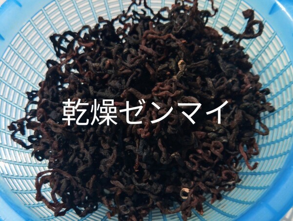 岩手県産 初物 乾燥ゼンマイ 100g