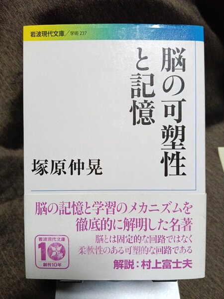 即決!送料無料 脳の可塑性と記憶 塚原仲晃岩波現代文庫 医学
