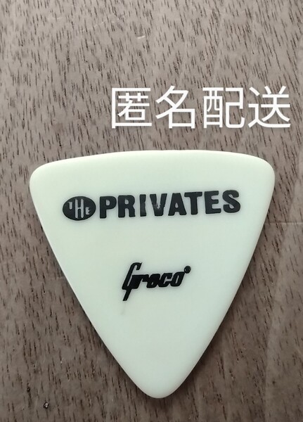 ザ・プライベーツ グレコ ギターピック(THE PRIVATES Greco 1990年前後 昭和 平成 匿名配送)