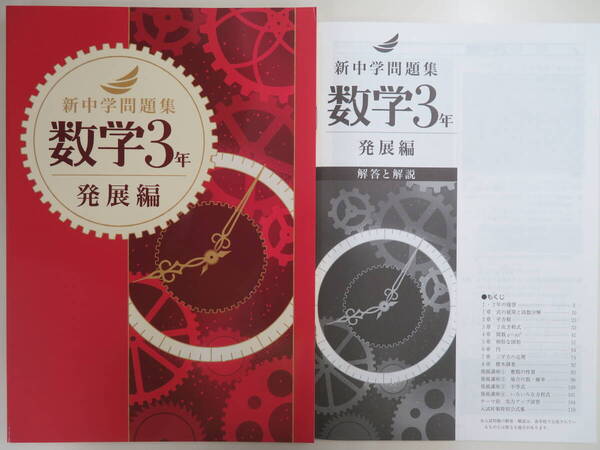 ★新品・最新版★ 新中学問題集【発展編】 数学3年