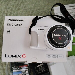 LUMIX GF6 DMC-GF6X-W 電動ズームレンズキット (ホワイト)美品 レンズプロテクター付き パナソニック Panasonic