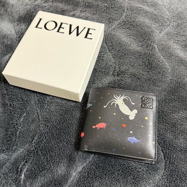 LOEWE ロエベ 二つ折り財布 スナフジタ 深海