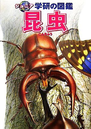2025年最新】Yahoo!オークション -学研の図鑑 昆虫(図鑑)の中古