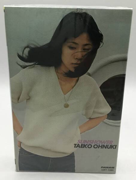 Taeko Ohnuki 大貫妙子 - Sunshower
