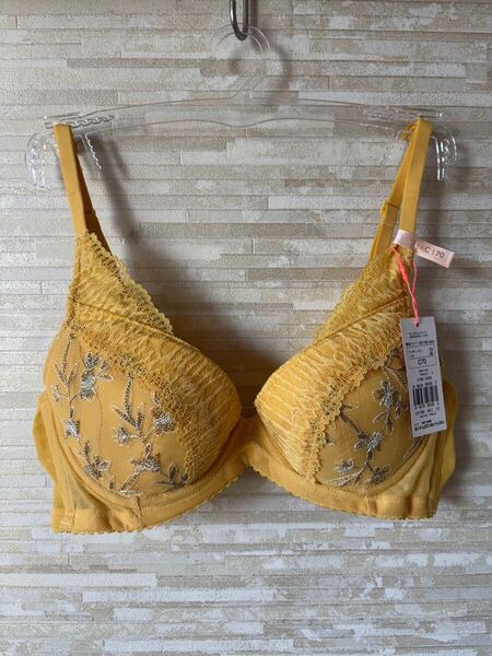 C70」トリンプ ナチュラルスリム 日本庭園景色クワイエットガーデン ブラジャー
