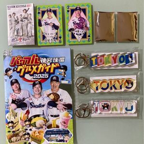塩見泰隆 カード 西川遥輝 2025 つば九郎 キーホルダー ヤクルトスワローズ 東京シリーズ 3点 コンプリート 2025 売り子名鑑