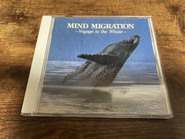 CD「巨鯨幻想MIND MIGRATION」水口博也 クジラ 環境音●