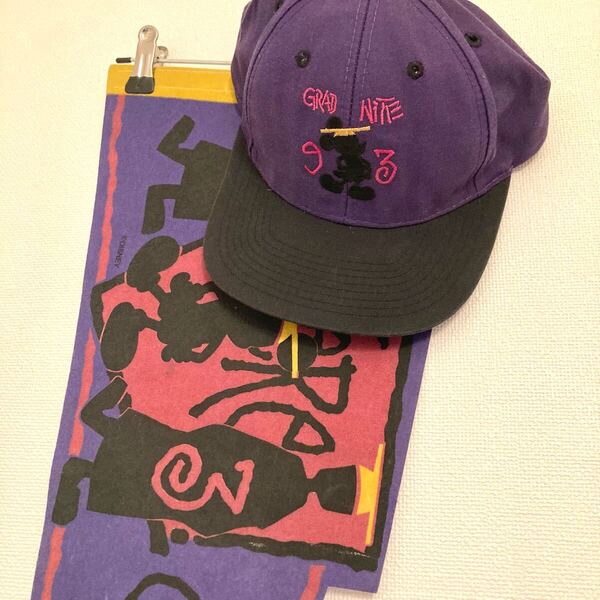 1993 ビンテージ ディズニー Grad Nite ミッキー グラッドナイト STUSSY オールド ステューシー スヌーピー スウェット Tシャツ キャップ